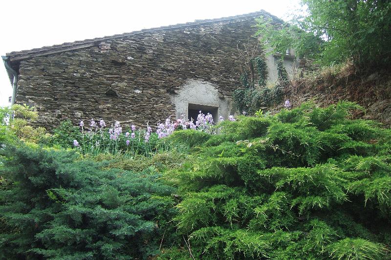2011-05- (403).JPG